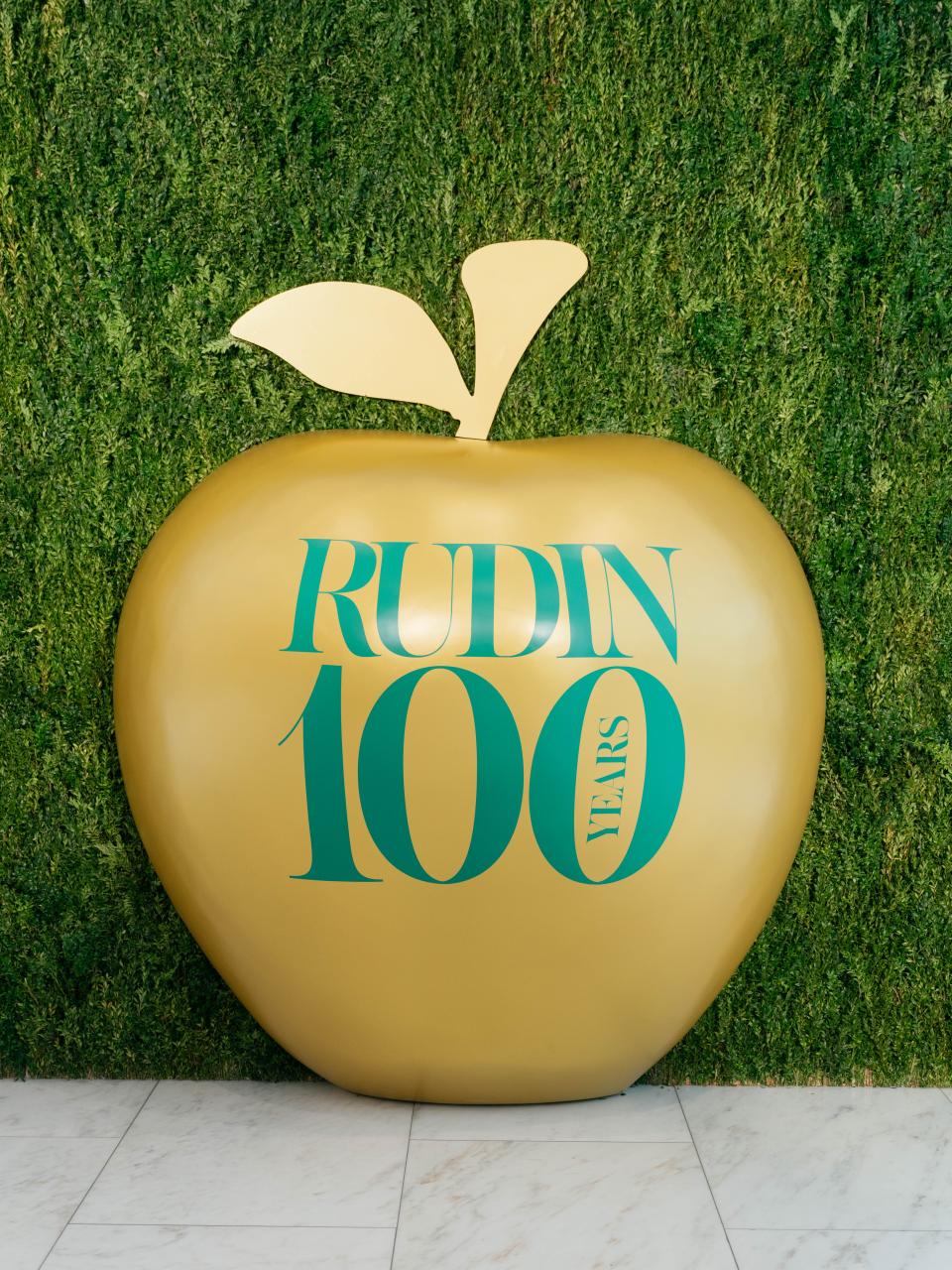 Rudin 100