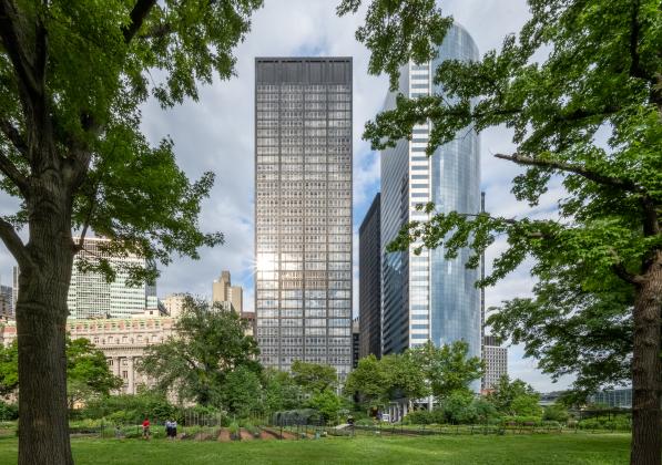 A park with trees and tall buildings in the background