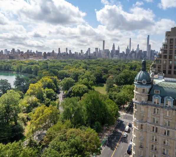 Image of the skyline of Central park and the 295 Central Park West building 