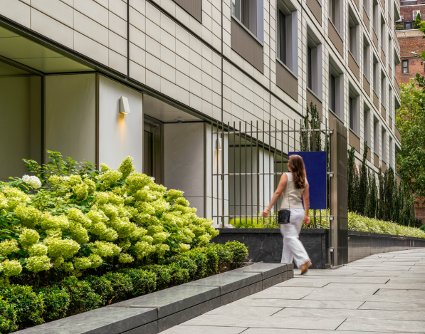 A city sidewalk with greenery and a building to the left