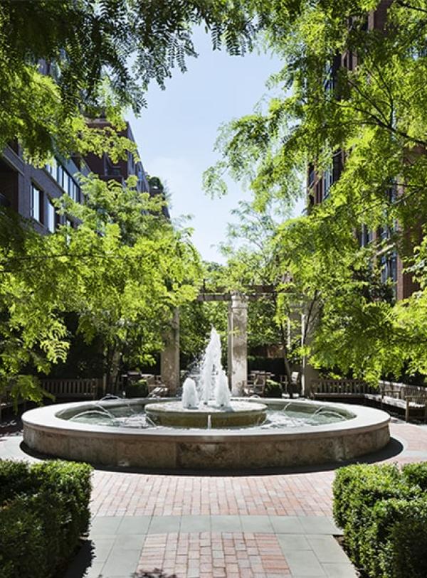 Greenwich Lane New York