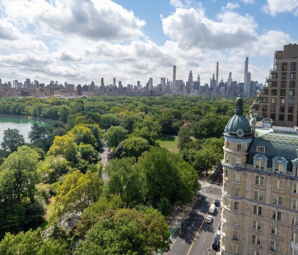 Image of the skyline of Central park and the 295 Central Park West building 