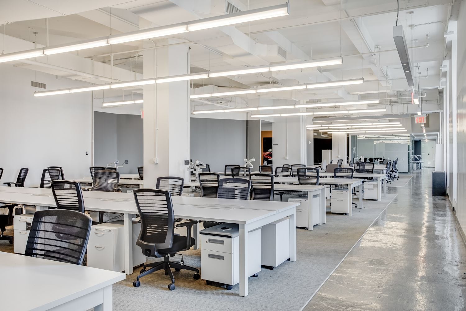 qdjxqu5ws8wwhnmxe8mr